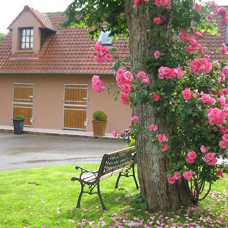 Hotel Du Moulin Aux Draps Desvres Eksteriør billede