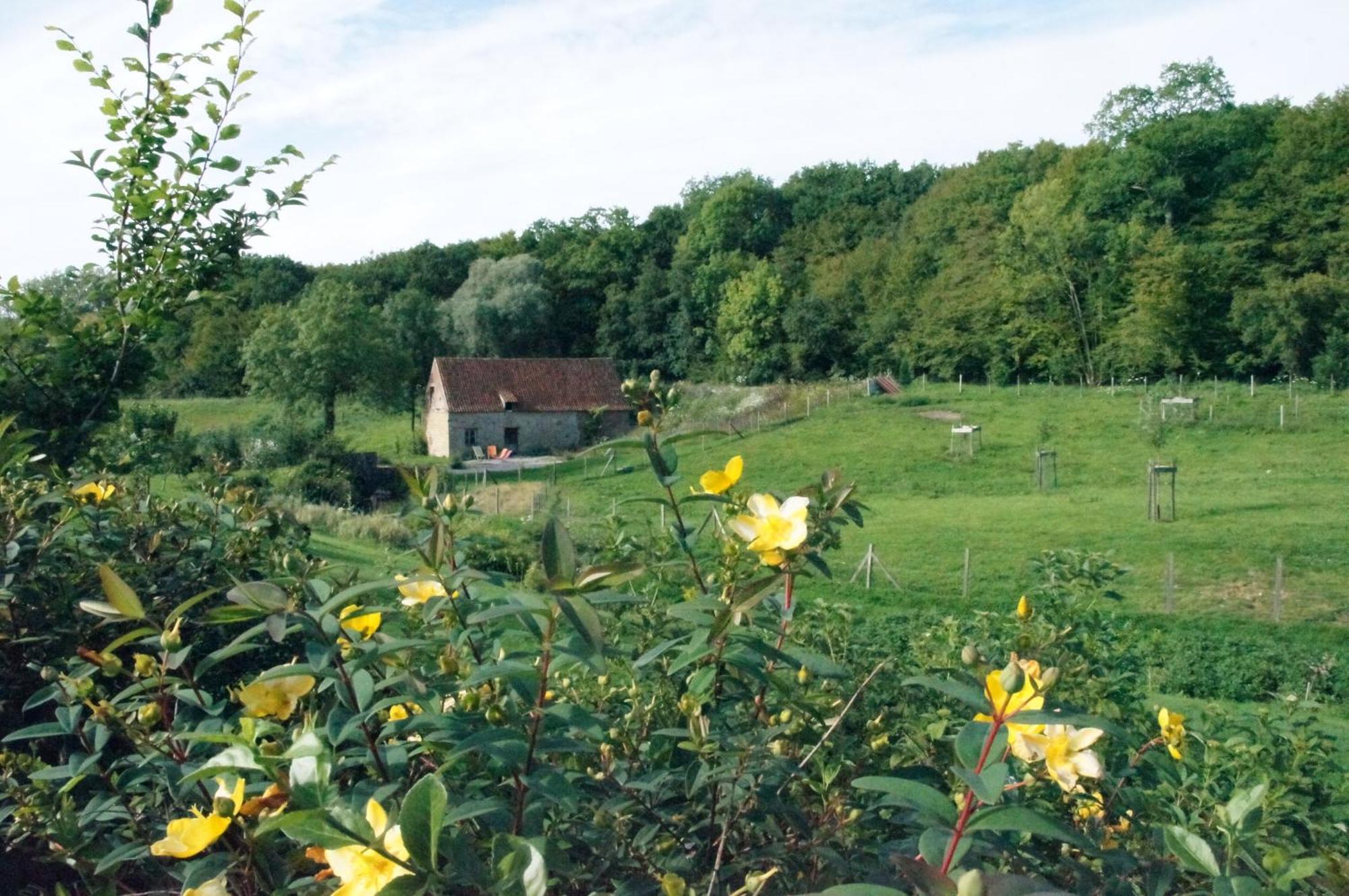 Hotel Du Moulin Aux Draps Desvres Eksteriør billede