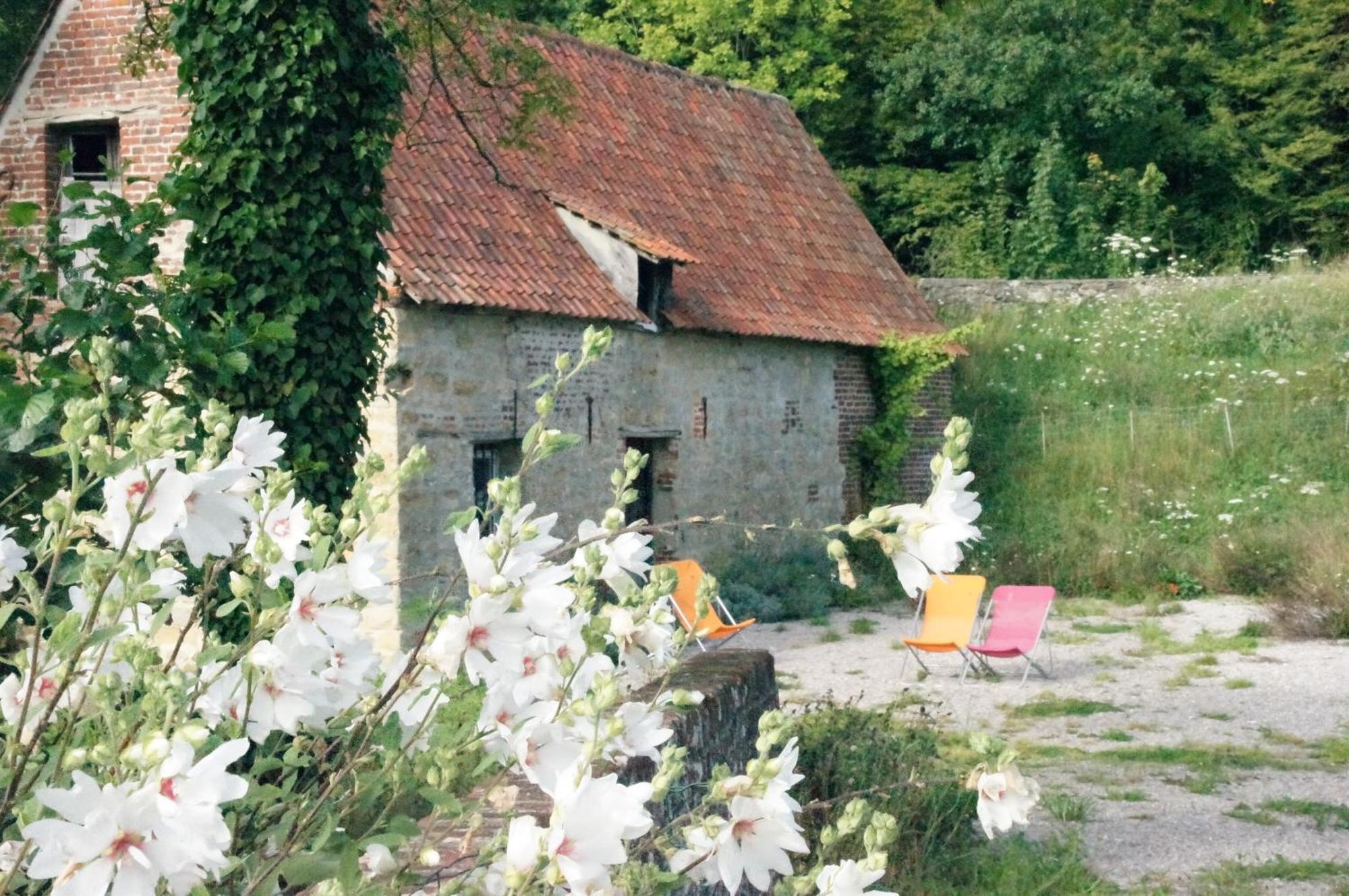 Hotel Du Moulin Aux Draps Desvres Eksteriør billede