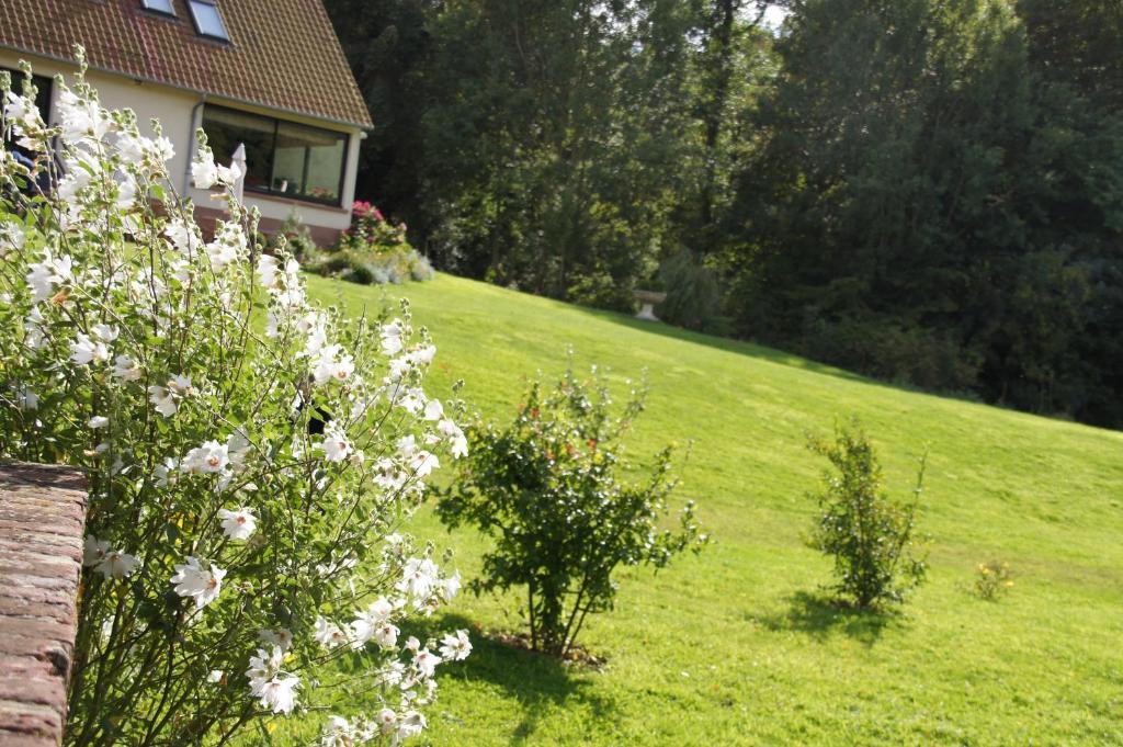 Hotel Du Moulin Aux Draps Desvres Værelse billede